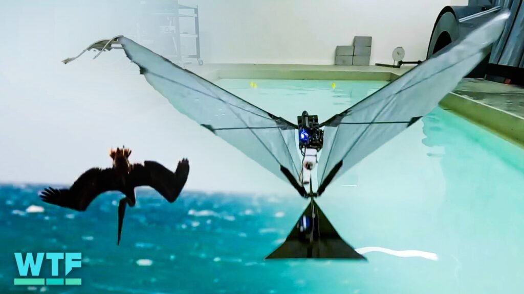 Bird-Inspired Robot Demonstrates Flying and Swimming Skills